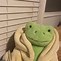 Image result for Frog PFP