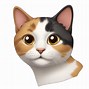 Image result for Calico Cat Emoji