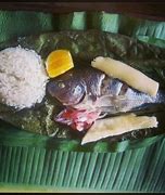 Image result for Pesca Do FDE Maito