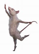 Image result for Mouse Musician