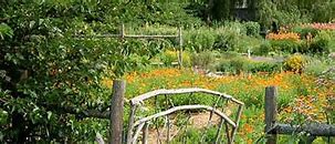 Image result for Biodynamic Herb Garden