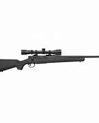 Image result for FN 308 Bolt Action Rifle