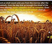 Image result for Shavuot