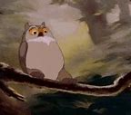 Image result for Mr. Owl Tootsie Pop GIF