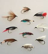 Image result for Fly Fishing Flies Sport