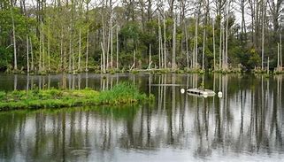 Image result for Lakes Near Beaumont TX