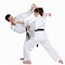 Image result for Karate Groin Kick