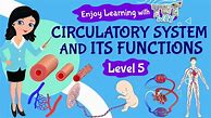 Image result for Circulatory System Grade 5