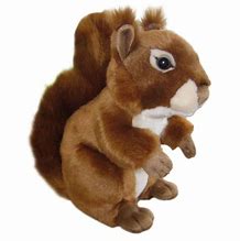 Image result for Squirrel Plush Toy