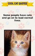 Image result for Cool Cat Quotes