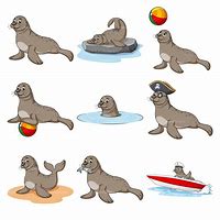 Image result for Cute Sea Lion