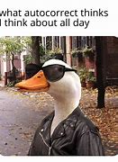 Image result for Duck Love Meme