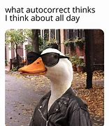 Image result for Duck Bread Meme