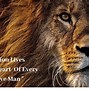 Image result for Motivational Lion Quotes Wallpaper