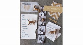 Image result for Cat Magnets