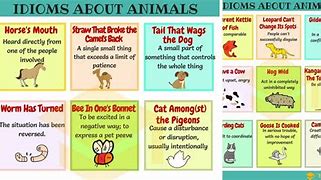 Image result for I Say Animal