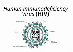 Image result for Gambar Orang HIV