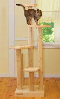 Image result for Wood Cat Tree