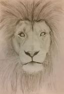 Image result for Simple Lion Drawing Pencil