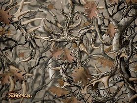 Image result for Realtree Orange Camo