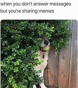 Image result for Hiding Meme