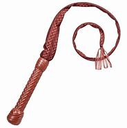 Image result for Indiana Jones Whip and Satchel