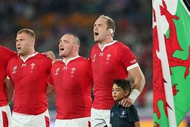 Image result for Welsh Rugby Union Makes