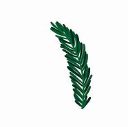 Image result for Pine