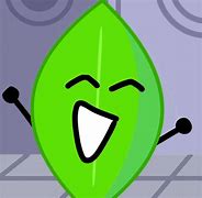 Image result for Leafy BFDI PFP