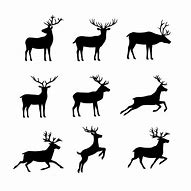 Image result for Fun Reindeer Vectors