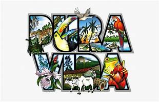 Image result for Pura Vida Costa Rica Signs