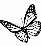 Image result for Red and Black Butterfly Drawings