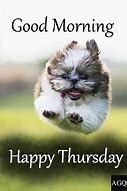 Image result for Good Morning Happy Thursday Dog