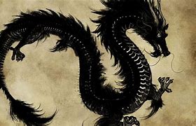 Image result for Chinese Dragon Facts