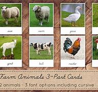 Image result for 3 Farm Toob