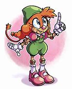 Image result for sonic idw belle