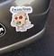 Image result for Funny Cat Bumper Stickers