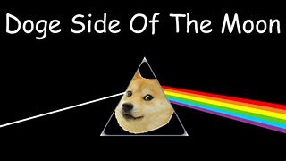 Image result for Funny Doge Meme Wallpaper