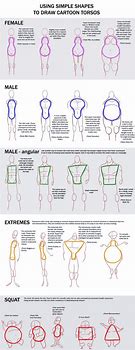 Image result for How to Draw Human Body Using Shapes