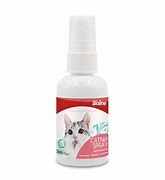 Image result for Catnip Spray