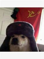 Image result for Soviet Dog PFP