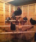 Image result for Chicken Perches for Coops