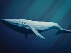 Image result for Whale Water