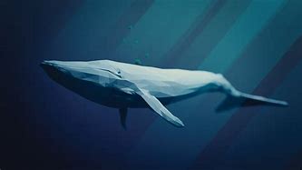 Image result for Whale Water