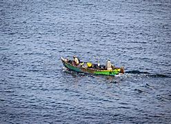 Image result for Catching Fish in Small Boat