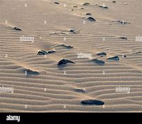 Image result for Wind Ripples