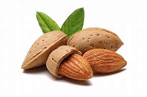 Image result for Almond Oil Image PNG