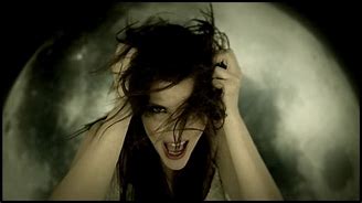 Image result for Sirenia