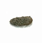 Image result for Great Horned Owl Pellets