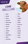 Image result for Cow Names List